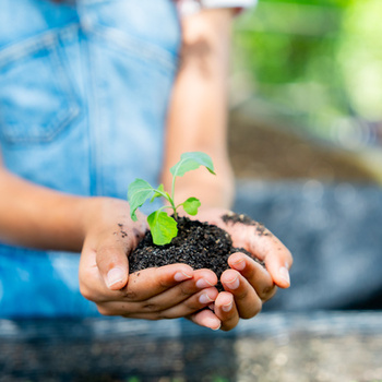 Агротехнологические классы в общеобразовательных организациях - fgospostavki.ru - Красный Сулин