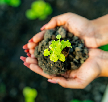 Инженерные биологические системы: междисциплинарное образование в школах - fgospostavki.ru - Красный Сулин