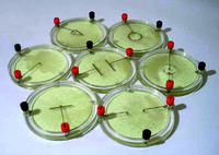 Демонстрационный комплект «Силовые линии электрического поля разных систем зарядов» - fgospostavki.ru - Красный Сулин