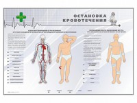 Электрифицированный стенд "Остановка кровотечения" - fgospostavki.ru - Красный Сулин