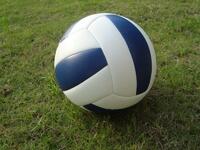 Мяч волейбольный звенящий - fgospostavki.ru - Красный Сулин