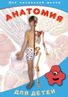DVD "Анатомия для детей" - fgospostavki.ru - Красный Сулин