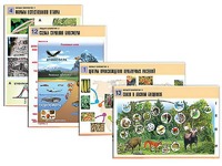 Комплект таблиц по биологии демонстрационных "Общая биология 2" (14 таблиц, формат А1, ламинированные) - fgospostavki.ru - Красный Сулин