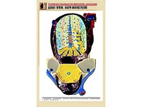 Рельефная таблица "Долька печени. Макро-микростроение" (формат А1, матовое ламинирование) - fgospostavki.ru - Красный Сулин