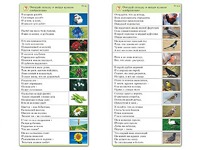 Комплект карточек (10) "Обучающий калейдоскоп. Природа" - fgospostavki.ru - Красный Сулин