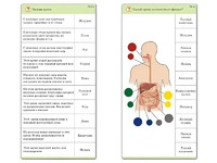 Комплект карточек (10) "Обучающий калейдоскоп. Человек" - fgospostavki.ru - Красный Сулин
