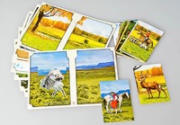 Настольно-печатная игра "Вокруг света" - fgospostavki.ru - Красный Сулин