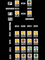Модель-аппликация "Дигибридное скрещивание" (ламинированная) - fgospostavki.ru - Красный Сулин