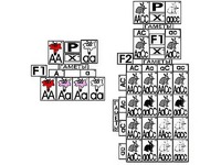 Модель-аппликация "Неполное доминирование и взаимодействие генов" (ламинированная) - fgospostavki.ru - Красный Сулин