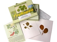 Гербарий "Систематика растений. Семейство Розоцветные" (раздаточный) - fgospostavki.ru - Красный Сулин