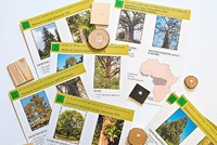 Коллекция "Древесные растения и их распространение" (демонстрационная) - fgospostavki.ru - Красный Сулин