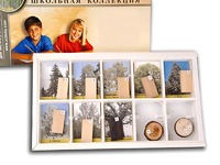 Коллекция "Древесные растения и их распространение" (раздаточная) - fgospostavki.ru - Красный Сулин