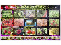 Комплект оборудования "Живой уголок" (растения) с тифлопереводом и сурдокомментариями - fgospostavki.ru - Красный Сулин