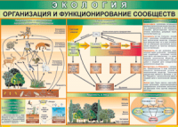 Таблица "Организация и функционирование сообществ" (100х140 сантиметров, винил) - fgospostavki.ru - Красный Сулин