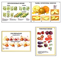 Плакаты ПРОФТЕХ "Ассортимент овощных культур" (12 пл, винил, 70х100) - fgospostavki.ru - Красный Сулин