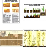 Плакаты ПРОФТЕХ "Агрономия" (5 пл, винил, 70х100) - fgospostavki.ru - Красный Сулин