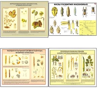 Плакаты ПРОФТЕХ "Вредители и болезни с/х культур и меры борьбы с ними" (11 пл, винил, 70х100) - fgospostavki.ru - Красный Сулин