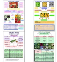 Плакаты ПРОФТЕХ "Классификация овощей" (11 пл, винил, 70х100) - fgospostavki.ru - Красный Сулин