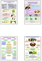 Плакаты ПРОФТЕХ "Классификация овощей и переработка" (8 пл, винил, 70х100) - fgospostavki.ru - Красный Сулин