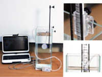 Набор демонстрационный «Гидростатика и плавание тел» - fgospostavki.ru - Красный Сулин