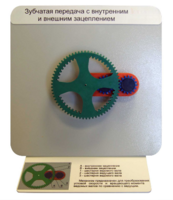 Демонстрационная модель "Зубчатая передача с внутренним и внешним зацеплением" - fgospostavki.ru - Красный Сулин