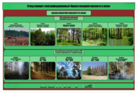 Стенд-планшет электрифицированный «Оценка пожарной опасности в лесах»  - fgospostavki.ru - Красный Сулин