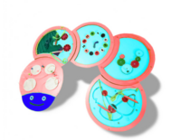 Тактильно-развивающая панель «Гусеница» - fgospostavki.ru - Красный Сулин