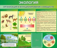 Стенд "Экология. Организация и функционирование сообществ" - fgospostavki.ru - Красный Сулин