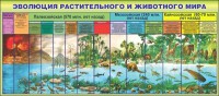 Стенд "Эволюция растительного и животного мира" - fgospostavki.ru - Красный Сулин