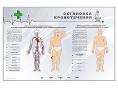 Электрифицированный стенд "Остановка кровотечения" - fgospostavki.ru - Красный Сулин