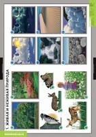 Комплект таблиц. Окружающий мир. Летние и осенние изменения в природе. - fgospostavki.ru - Красный Сулин