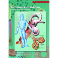 Интерактивные плакаты. Биология человека. Программно-методический комплекс - fgospostavki.ru - Красный Сулин