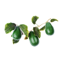 Ветка муляжей "Авокадо" - fgospostavki.ru - Красный Сулин