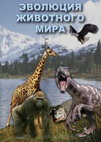 DVD "Эволюция животного мира" - fgospostavki.ru - Красный Сулин