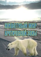 DVD "Животный мир Арктической зоны" - fgospostavki.ru - Красный Сулин