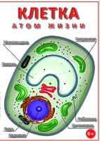 DVD "Клетка - "атом жизни" - fgospostavki.ru - Красный Сулин