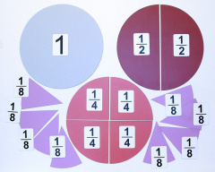 Набор магнитных карточек "Доли и дроби - 1" - fgospostavki.ru - Красный Сулин