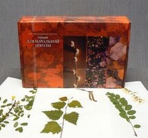 Гербарий для Начальной школы (28 видов) - fgospostavki.ru - Красный Сулин
