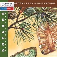 Ботаника. Микрофотографии. (Цифровая база изображений) - fgospostavki.ru - Красный Сулин