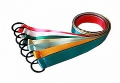 Лента гимнастическая на кольце (0,25 метра) - fgospostavki.ru - Красный Сулин