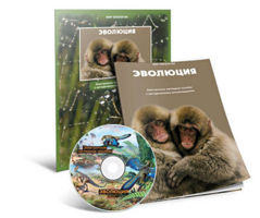 Электронное наглядное пособие «Эволюция» - fgospostavki.ru - Красный Сулин