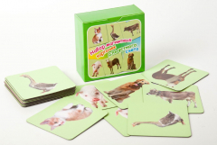 Набор магнитных карточек "Устный счет" (фон зеленый) - fgospostavki.ru - Красный Сулин