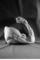 Рука согнутая в локте (гипс) - fgospostavki.ru - Красный Сулин