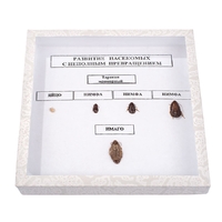 Коллекция "Развитие насекомых с неполным превращением" - fgospostavki.ru - Красный Сулин