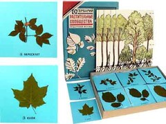 Гербарий "Растительные сообщества" - fgospostavki.ru - Красный Сулин