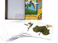 Гербарий "Сельскохозяйственные растения России" - fgospostavki.ru - Красный Сулин