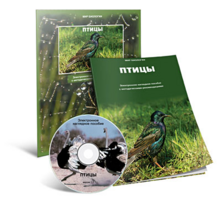 Электронное наглядное пособие «Птицы» - fgospostavki.ru - Красный Сулин