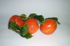 Ветка муляжей "Гранат" - fgospostavki.ru - Красный Сулин