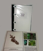 Гербарий "Эволюция высших растений" (ламинированный) - fgospostavki.ru - Красный Сулин