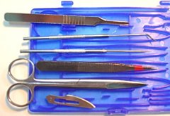 Набор препаровальных инструментов малый - fgospostavki.ru - Красный Сулин